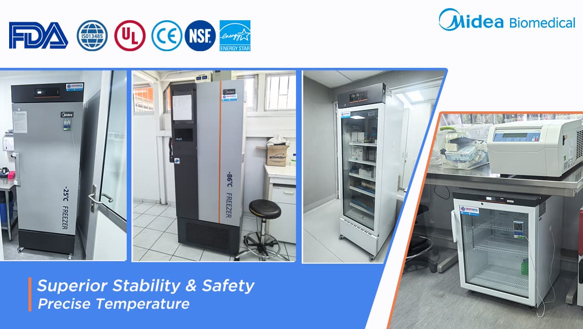 تأمين مستقبل الاستزراع المائي: حوار مع مختبر رائد في مجال مصايد الأسماك في تشيلي